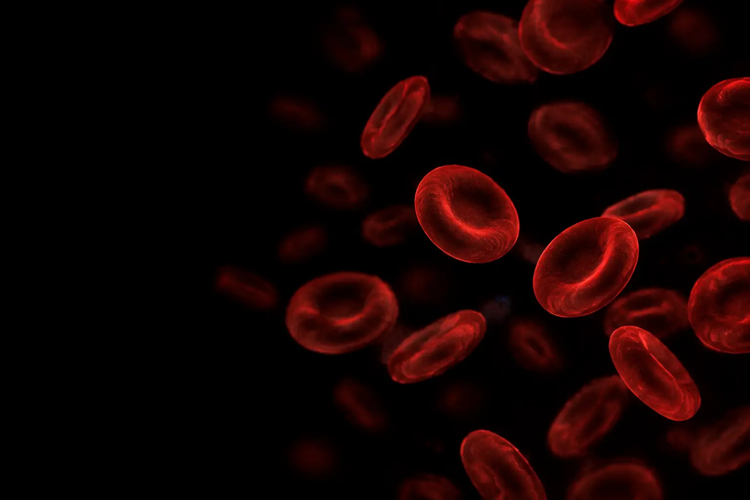 Fluorescence micrograph: red blood cells
